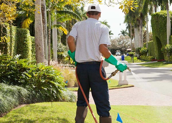 About Knob Noster MO Pest Control